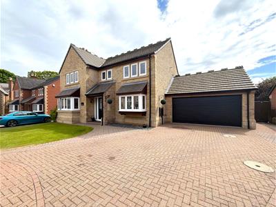 Picture 31